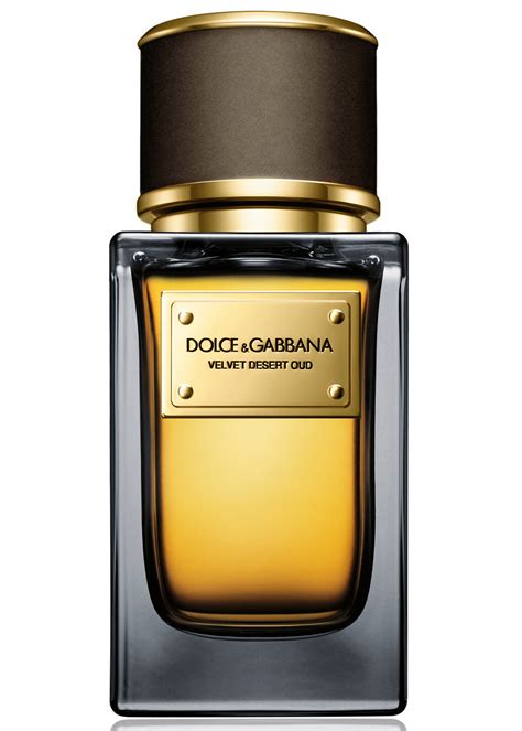 dolce and gabbana velvet.